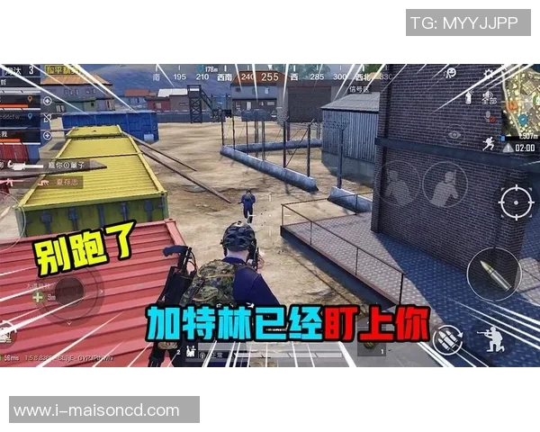 和平精英盛宴：深入解析EDG团队协作的秘密与策略