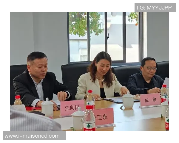 南京飞盘队的节奏体系与战术创新探讨