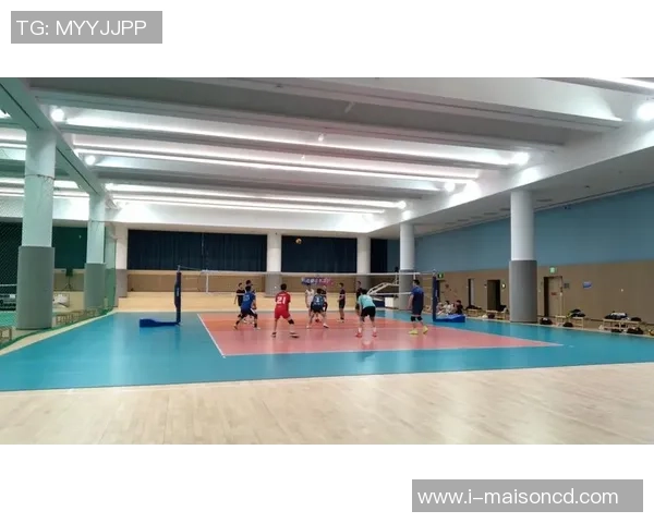 深圳排球队技术创新再攀高峰引领排球发展新潮流